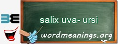 WordMeaning blackboard for salix uva-ursi